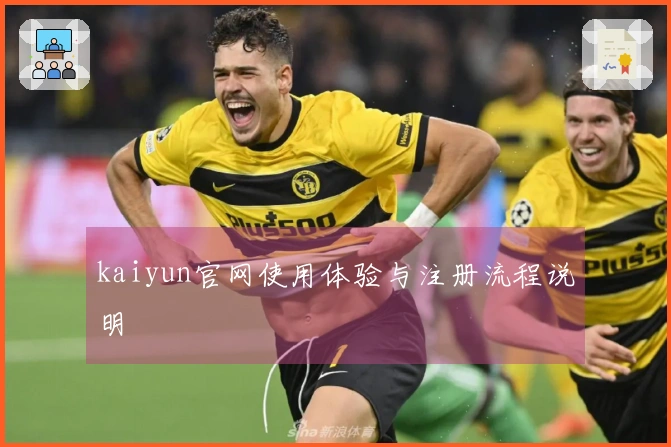 kaiyun官网使用体验与注册流程说明