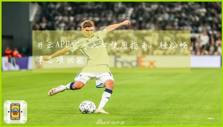 开云APP官方入口使用指南，轻松畅享各项功能